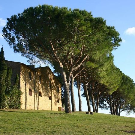 Casalevecchio Daire Casale Marittimo Dış mekan fotoğraf