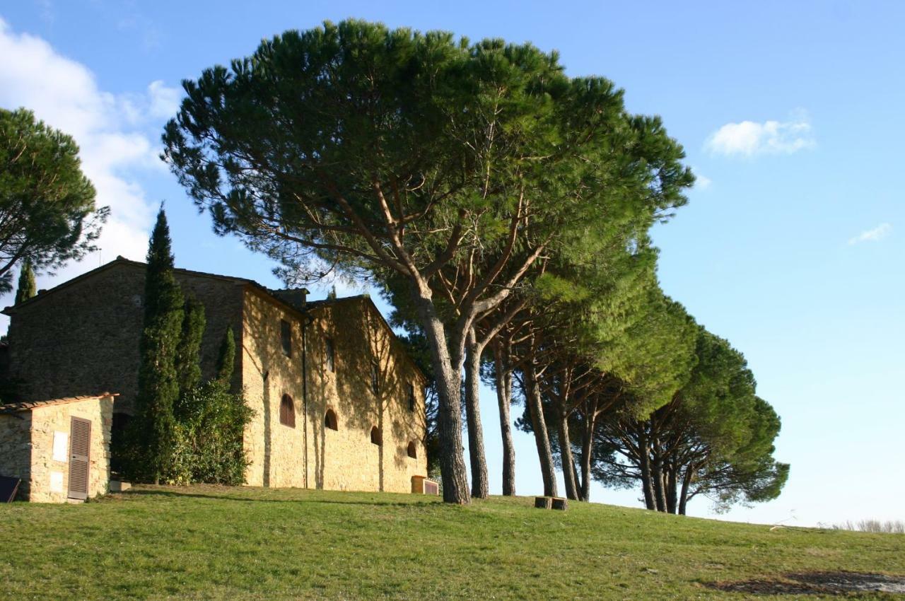Casalevecchio Daire Casale Marittimo Dış mekan fotoğraf