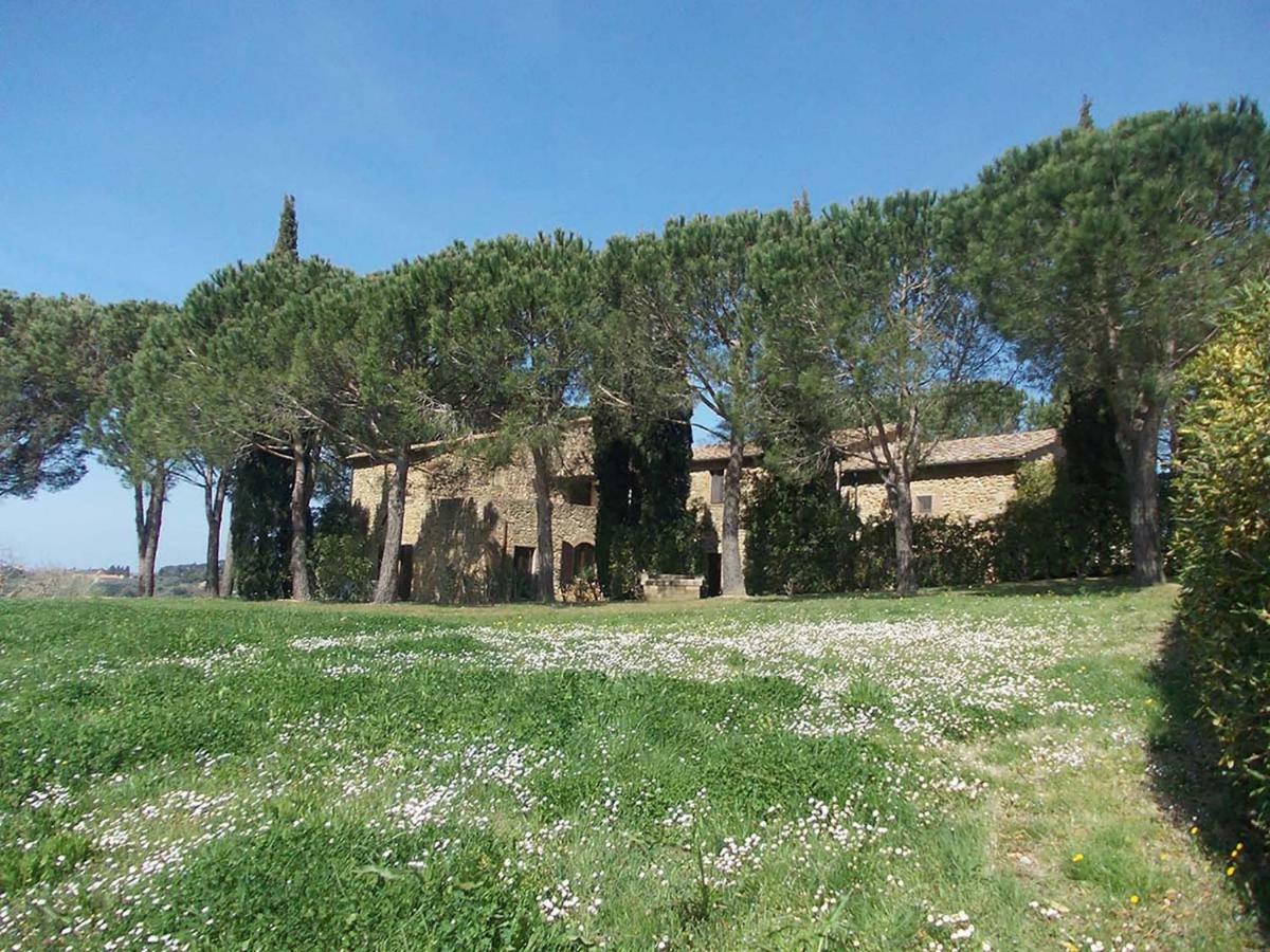 Casalevecchio Daire Casale Marittimo Dış mekan fotoğraf