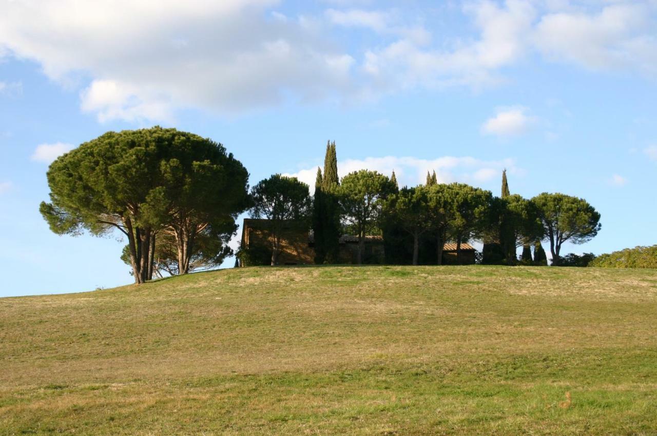 Casalevecchio Daire Casale Marittimo Dış mekan fotoğraf